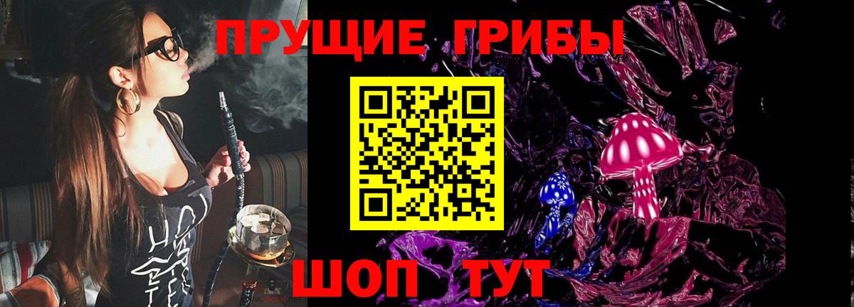 Шатура  Галлюциногенные грибы MAGIC MUSHROOMS  Вход с VPN 
