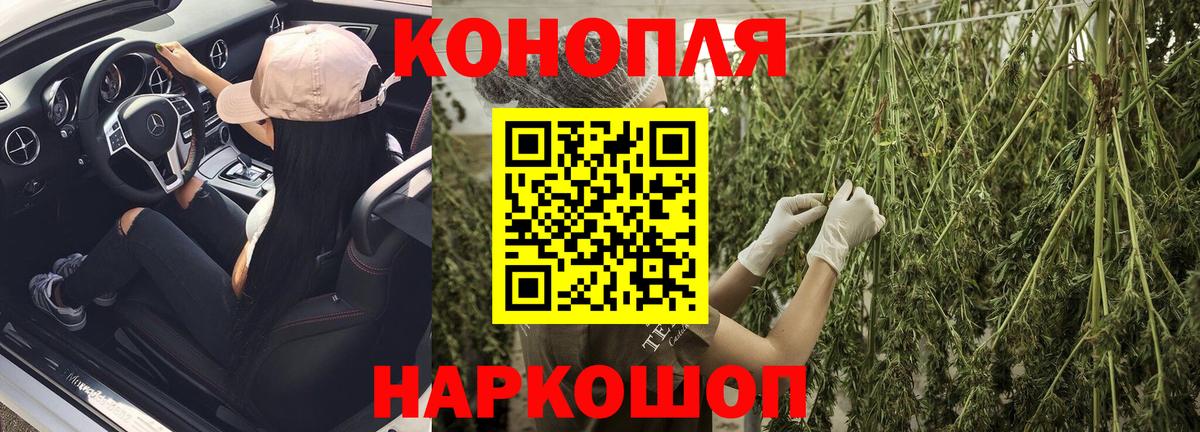 Шишки марихуана планчик  Бошки марихуана AK-47  МАРИХУАНА VHQ  Шатура  Вход с VPN 